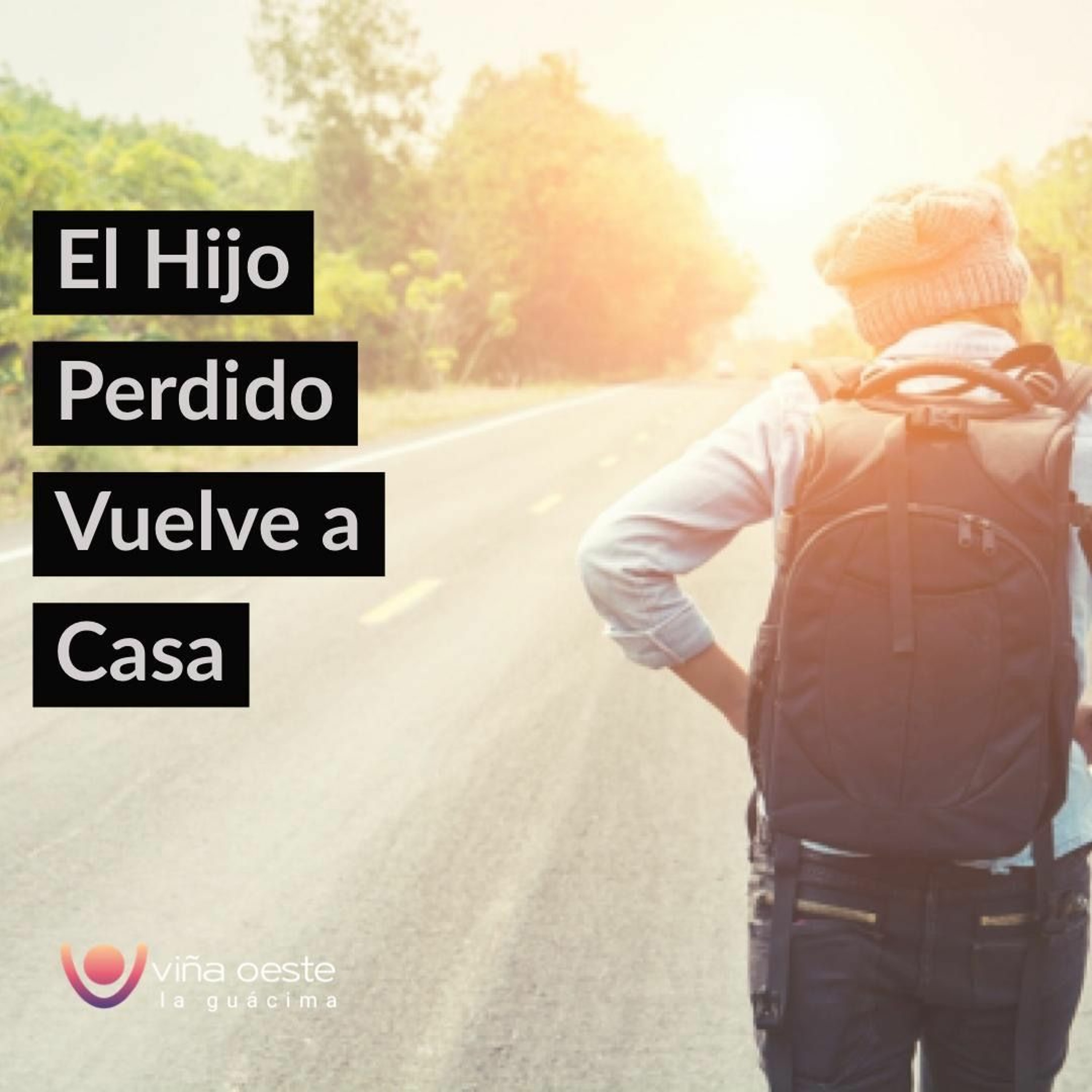 Viña Oeste La Guácima