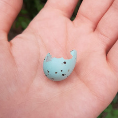 I Love You, Goodbye (Demo)