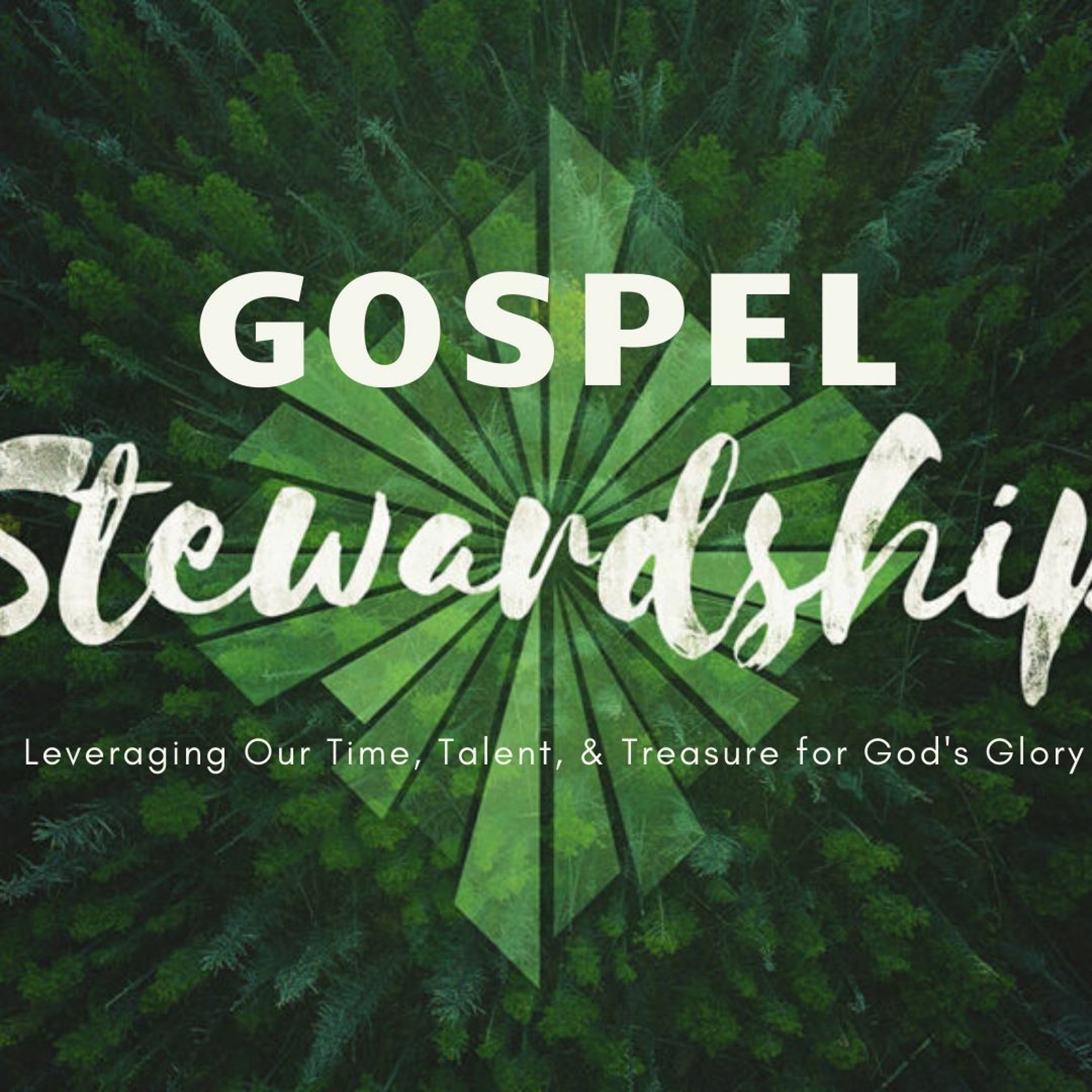 Covenant Community of Ellijay Sermons