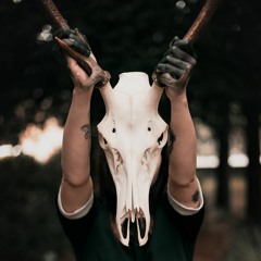 ††† VVIŦCH HƟVSE †††