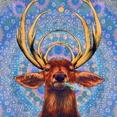 Waking up in Pennsylvania