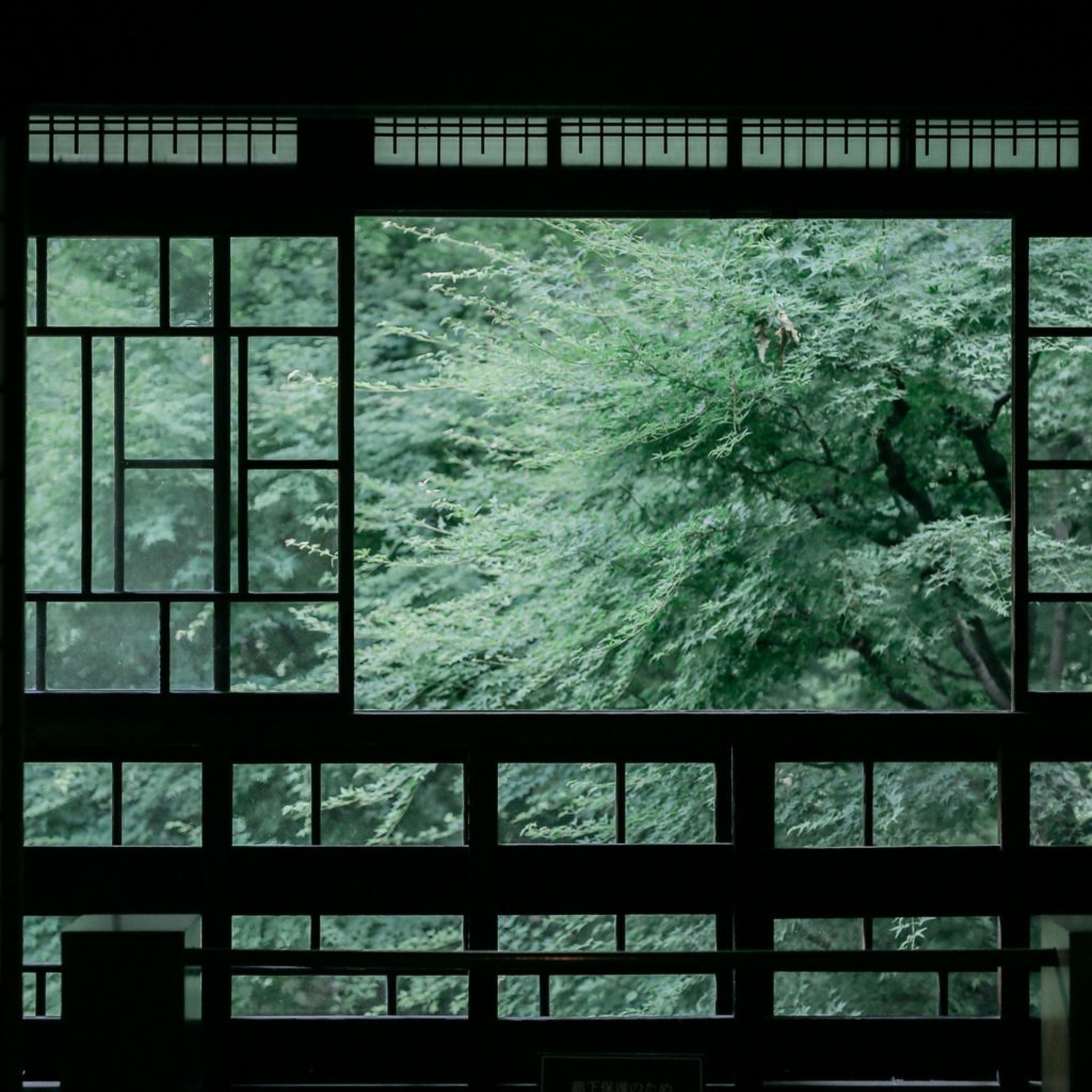 Cut Through Here episode artwork