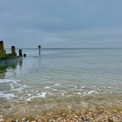 Last Day Of Our Acquaintance (Cover) by Sinead O'Connor