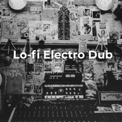 Lo-fi Electro Dub