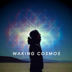 Cosmology and the Evolution of Consciousness | Brian Swimme Ph.D. | The Waking Cosmos Podcast