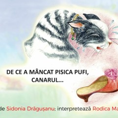 De ce a mâncat pisica Pufi canarul - de Sidonia Dragusanu - poveste audio