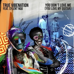 True Vibenation - You Don't Love Me (You Love My Guitar) Feat. Sylent Nqo