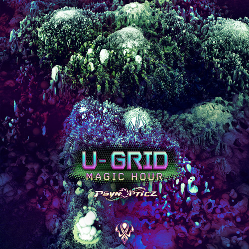 U-Grid - Micro Groove