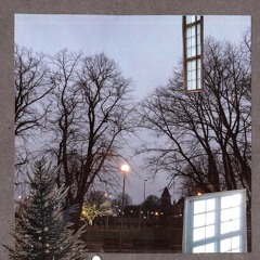 O light divine - Raili Lilleorg