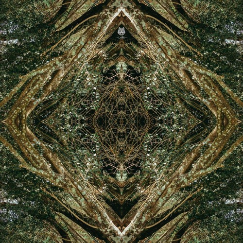 DJ Set Forest