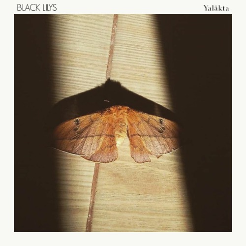 Yaläkta Song Cover