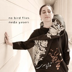 No bird flies (Saraye bi Kasi)پرنده پر نمی زند ... (سرای بی کسی)