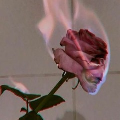 FreeStyle Chronicles: Chapter 1