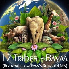 12 Tribes - Bayaa (Reverend+Lowdown's Rehashed Mix)