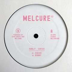 A2. Sunlit - Ronny (snippet)