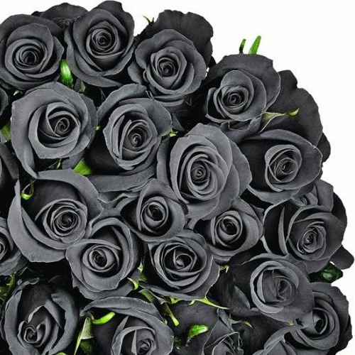 Dapper Don the1st - No More Funerals