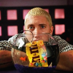 Slim Shady Interlude