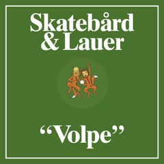 Skatebård & Lauer - The Light