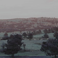 aimless