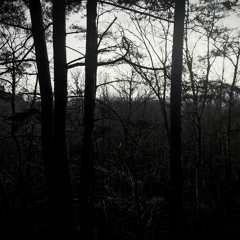 Sacrifice - Earth Monster (clip)