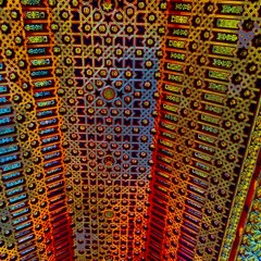 We Knew Better Than to Fight