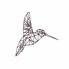 Khoninck - Kolibro