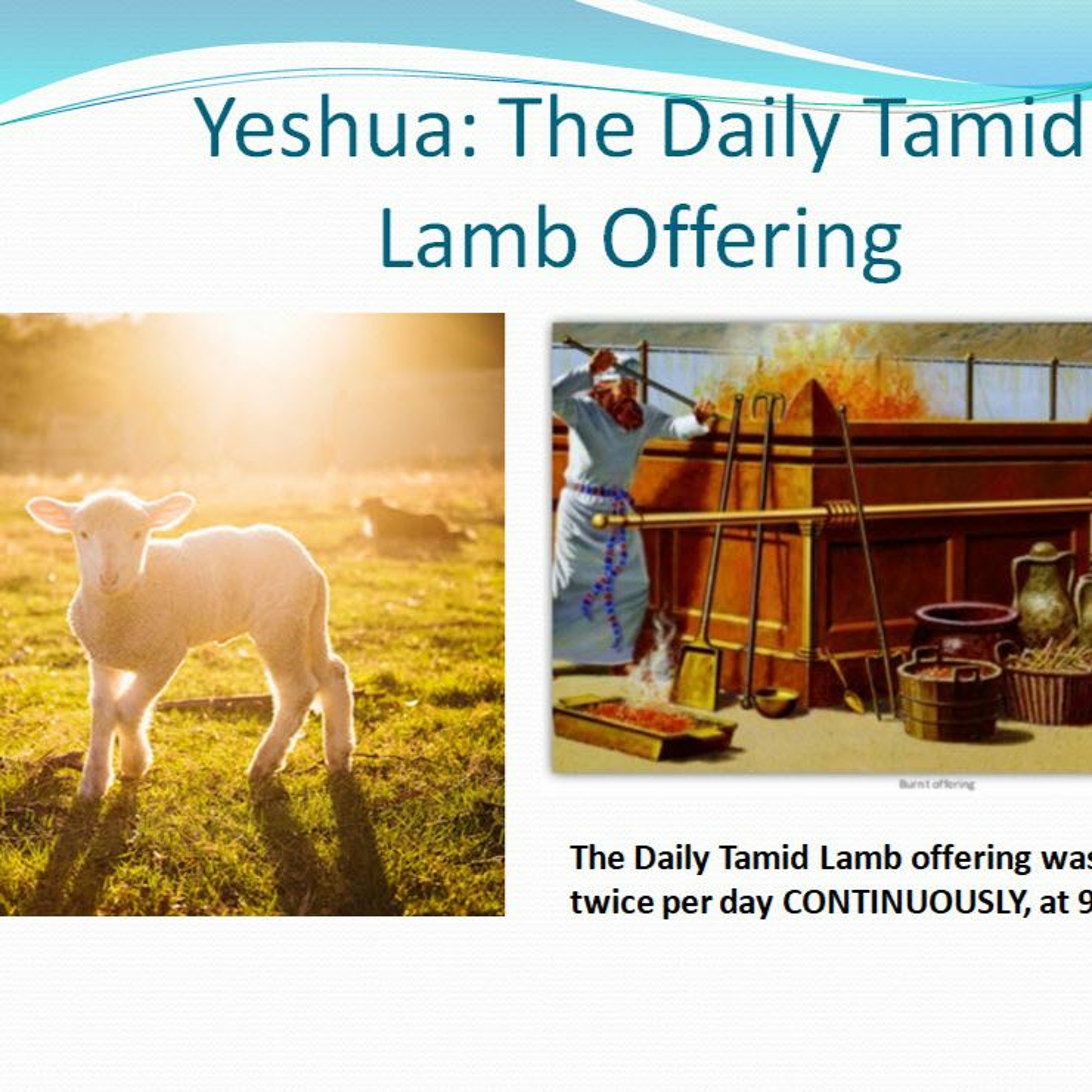 Yeshua: Daily Tamid Lamb Offering Pt 10 ~ Stopping of Lamb Offering Ushers in the Day of the Lord episode artwork