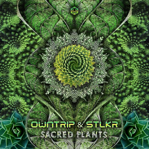Owntrip & STLKR - Deep Distance l Out Now on Maharetta Records