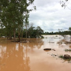 Com chuvas, Rio São Francisco e lençol freático do Paraopeba podem estar contaminados