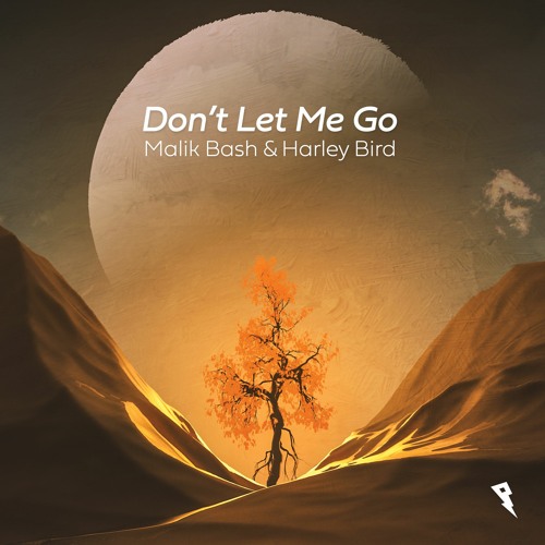 Malik Bash & Harley Bird - Don't Let Me Go