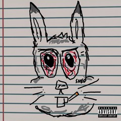 Rabbit Hole ---> S.H.E.D.