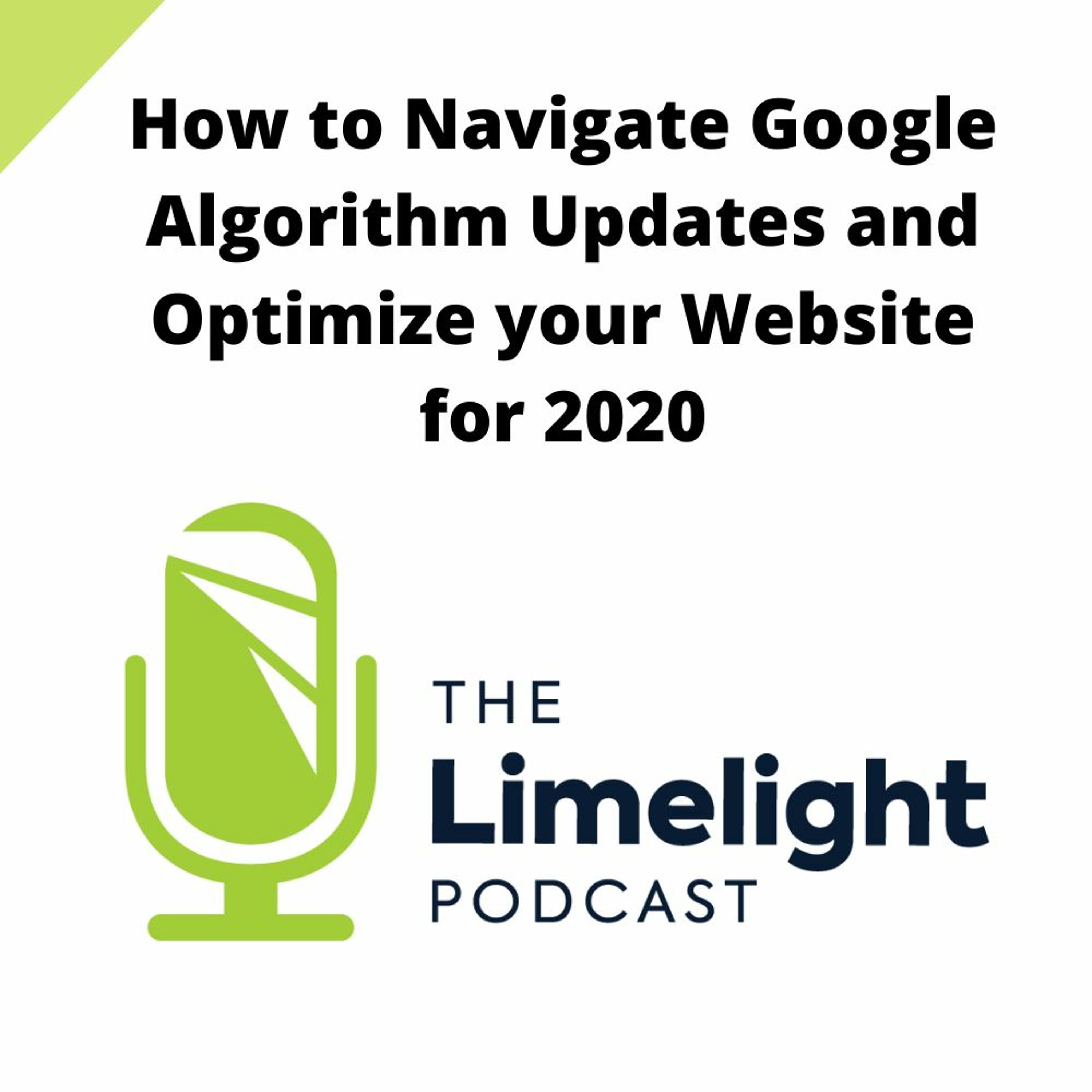How to Navigate Google Algorithm Updates and SEO your Medical Website in 2020 episode artwork