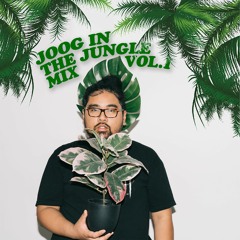 JOOG in the Jungle Vol. 1 [MIX]