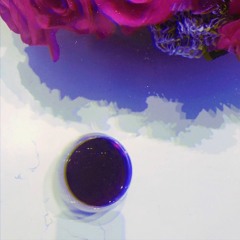 Do Not Disturb - Che Ecru (Slowed & Reverb)