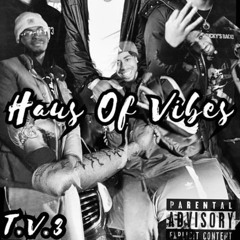 HAUS OF VIBES