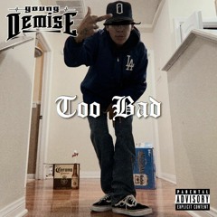 Demise - Too Bad