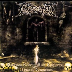 Ingested - Erotic Depravity