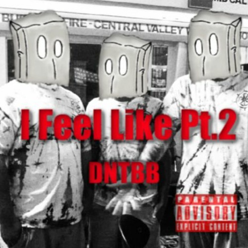 DNTBB - I Feel Like Pt. 2