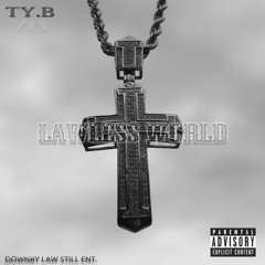 TY.B713 - NEED A INTRODUCTION (LAWLESS WORLD)