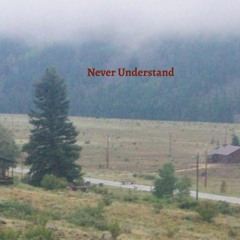 NEVER UNDERSTAND - DYNA$TY