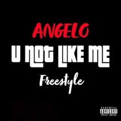 U Not Like Me Freestyle