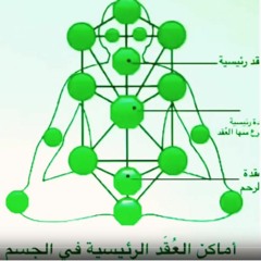 الشَّامِـلَه لِجـمـيـع الـعُـقَـد في الجسد إقرأ التعليمات أسفل