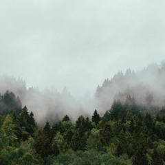 Thomas Jackson - Den inre skogen
