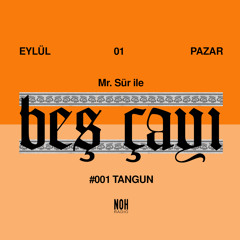 Mx. Sür ile Beş Çayı #001 Tangun 01.09.2019*