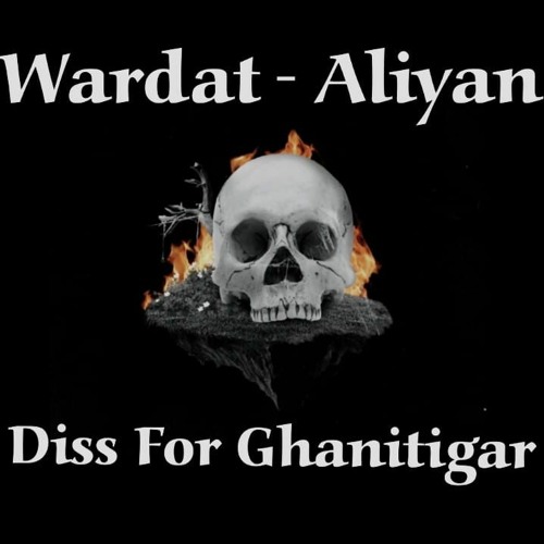 Wardat | Aliyan | Diss For Ghanitigar | 2020 ( Lyrics in Description  )