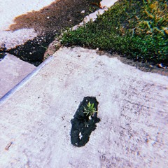 Wondas Of Da 7th Clowd(Prod. Jansport J)