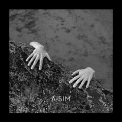 A-Sim - Weirdo Indian