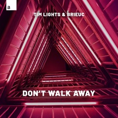 Tim Lights & Brieuc - Don't Walk Away [Big & Dirty Records]
