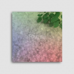 Staub #75