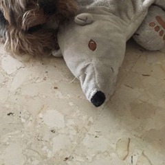 ę̶̧̝͍͉͓̙͖̙̲̲͖̙̖̰͖̣̙̋́̀̂̄̐̀̈́͠ͅń̶͉̜͖̜̤͖̠̩̯̦͇̍̔̅̀͝ḏ̴̡̹͙̜̠͙͙̲̩͎͔̱̺͈̱͂̍̀̽̌͂͌̈̇̌́͑̋͒̇͜͜͜͜͝͠